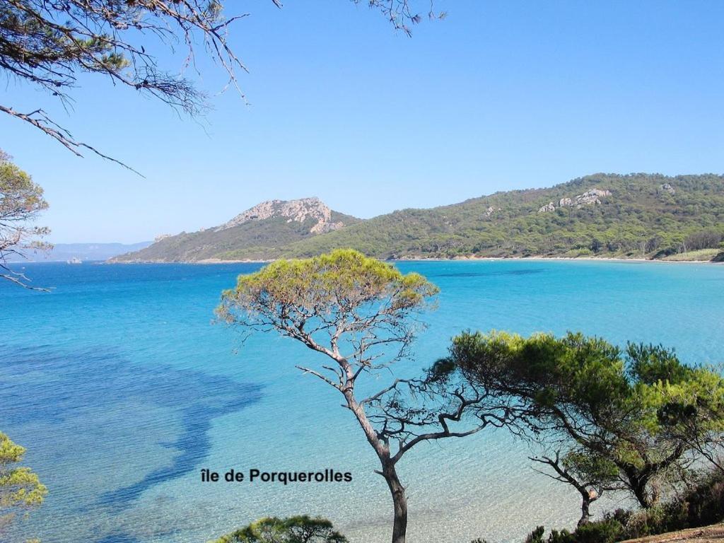 Rez-De-Villa Proche De La Mer - Villa Temana Saint-Cyr-sur-Mer Luaran gambar